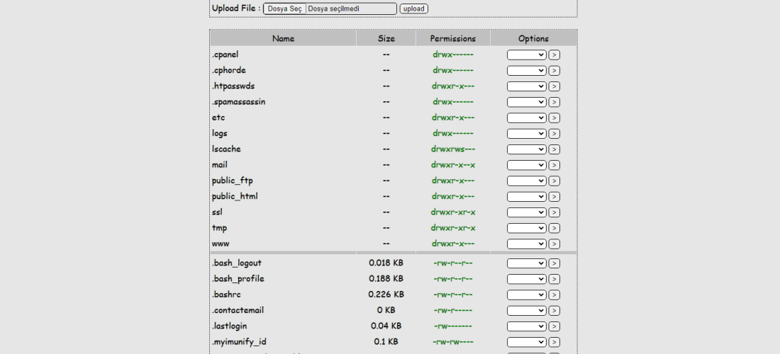 NEW Mini Web Shell